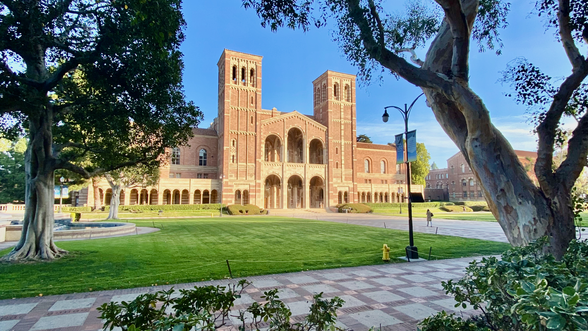 Zoom Backgrounds Humtech Ucla Menacing Zoom Background