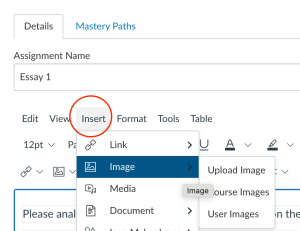 Screenshot of an assignment editor interface. The top tabs show 'Details' and 'Mastery Paths.' Below, the 'Assignment Name' field is filled with 'Essay 1.' A toolbar displays options such as 'Edit,' 'View,' 'Insert,' 'Format,' 'Tools,' and 'Table.' The 'Insert' menu is open and highlighted with a red circle, showing options for 'Link,' 'Image,' 'Media,' and 'Document.' The 'Image' option is expanded to reveal 'Upload Image,' 'Course Images,' and 'User Images