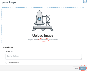 Screenshot highlight how to upload an image